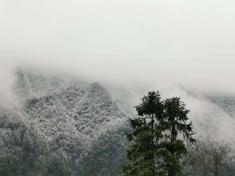 初春瑞雪